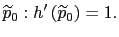 $\displaystyle \widetilde{p}_{0}:h^{\prime}\left( \widetilde{p}_{0}\right) =1. $