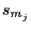 $ s_{m_{j}}$