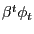 $ \beta^{t}\phi_{t}$