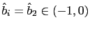$ \hat{b}_{i}=\hat{b}_{2}\in(-1,0)$