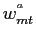 $ w_{mt}^{ {{}^a} }$