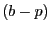 $ \left( b-p\right) $