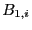 $ B_{1,i}$