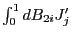 $ \int_{0}^{1}dB_{2i}J_{j}^{\prime}$