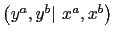 $ \left( y^{a},y^{b}\vert\ x^{a},x^{b}\right) $
