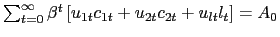 $ \sum_{t=0}^{\infty} \beta^{t} \left[ u_{1t}c_{1t} + u_{2t} c_{2t} + u_{lt} l_{t}\right] = A_{0} $