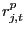 $ r^{p}_{j,t}$