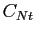 $ C_{Nt}$