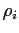 $ \rho_{i}$