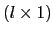 $ \left( l\times1\right) $