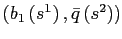 $ \left( b_{1}\left( s^{1}\right) ,\bar {q}\left( s^{2}\right) \right) $