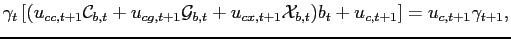 $\displaystyle \gamma_{t}\left[(u_{cc,t+1}\mathcal{C}_{b,t}+u_{cg,t+1}\mathcal{G}_{b,t}+u_{cx,t+1}\mathcal{X}_{b,t})b_{t} +u_{c,t+1}\right]=u_{c,t+1}\gamma_{t+1},$