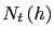 $ N_{t}\left( h\right) $