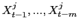 $ X_{t-1}^{j},...,X_{t-m}^{j}$