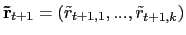 $ \mathbf{\tilde{r}}_{t+1}=\left( \tilde {r}_{t+1,1},...,\tilde{r}_{t+1,k}\right) $