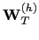 $ \mathbf{W}_{T}^{(h)}$