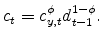 \displaystyle c_t = c_{y,t}^{\phi}d_{t-1}^{1-\phi}.