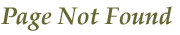 Page Not Found
