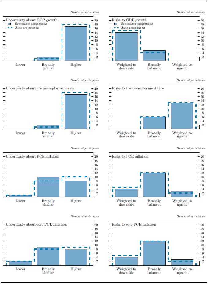 Figure 4. Uncertainty and risks in economic projections