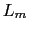  L_{m}
