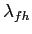 $ \lambda_{fh}$
