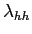 $ \lambda_{hh}$