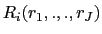  R_i(r_1,.,.,r_J)