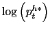 \log\left(p_t^{h*}\right)