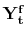 \mathbf{Y_t^f}