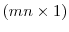  (mn\times1)