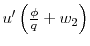  u^{\prime }\left( \frac{\phi }{q}+w_{2}\right) 