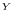 ^{Y}