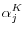 \alpha _j^K 