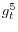 g_t^5 