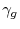  \gamma_g
