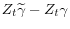  Z_t \widetilde{\gamma} - Z_t\gamma