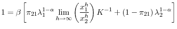 \displaystyle 1=\beta\left[ \pi_{21}\lambda_{1}^{1-\alpha}\lim_{h\rightarrow\infty}\left( \frac{x_{1}^{h}}{x_{2}^{h}}\right) K^{-1}+\left( 1-\pi_{21}\right) \lambda_{2}^{1-\alpha}\right] 