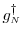  g^\dag _\ensuremath{{\scriptscriptstyle N}}