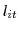 l_{it}