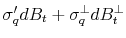  \sigma_q' dB_t +\sigma_{q}^{\perp}dB_t^{\perp}