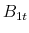  B_{1t}