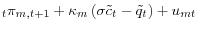 \displaystyle _{t}\pi_{m,t+1}+\kappa_{m}\left( \sigma\tilde{c}% _{t}-\tilde{q}_{t}\right) +u_{mt}