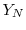  Y_N
