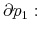  \partial p_{1}: