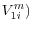 V_{1i}^m )