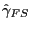 $ \hat{\gamma}_{FS}$