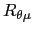 $ R_{\theta\mu}$