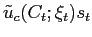 $ \tilde{u}_{c} (C_{t};\xi_{t})s_{t}$