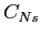 $ C_{Ns}$