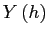 $\displaystyle Y\left( h\right)$